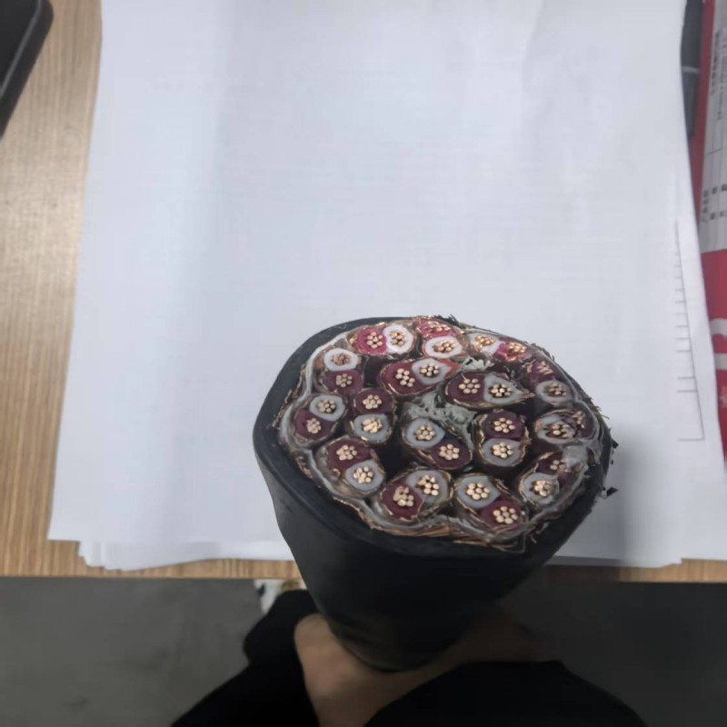  DJYP3V22  12×3×2.5計算機電纜 