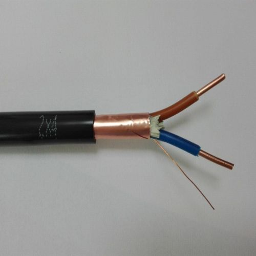  DJFPVP 0.3/0.5KV 12*2*1.0 計算機屏蔽電纜 